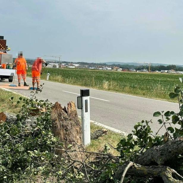 Die Stelle bei Absdorf, wo die 36jährige Logopädin nach dem Tod ihrer beiden Mädchen, versucht hatte, ihrem Leben ein Ende zu setzen.