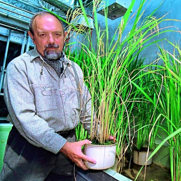 Gentechnik-Pionier Ingo Potrykus im Jahr 2001 an der ETH Zürich.