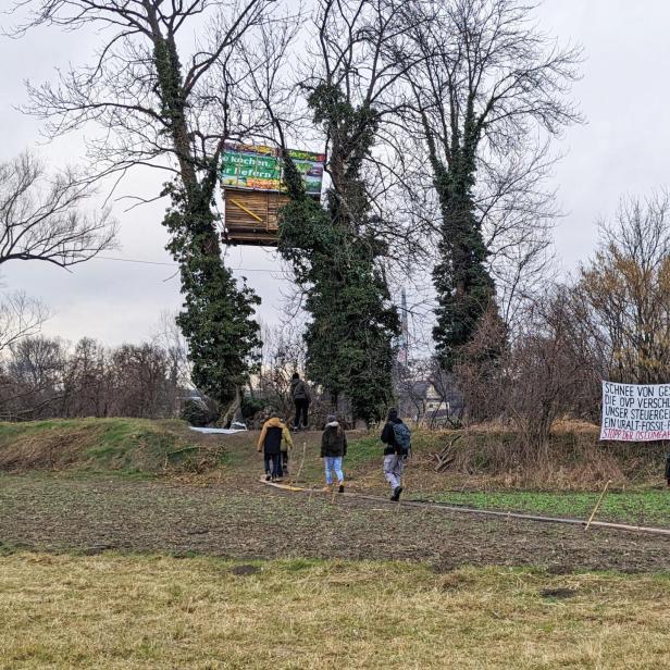 Klimaaktivisten laufen über ein winterliches Feld zu einem Baumhaus, das zwischen zwei Bäumen errichtet ist