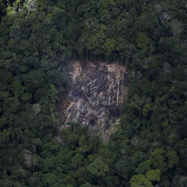 Luftaufnahme des abgeholzten Gebiets des Amazonas-Regenwaldes 