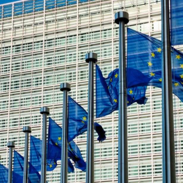 Wehende EU-Fahnen vor dem Parlament.