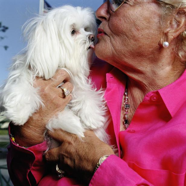 Seniorin küsst Malteserhund, Nahaufnahme