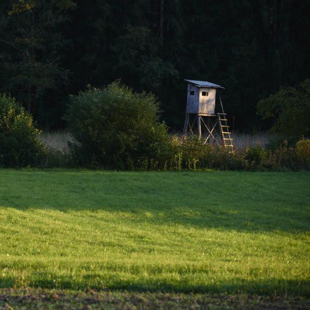 Symbolfoto: Hochstand in der Steiermark