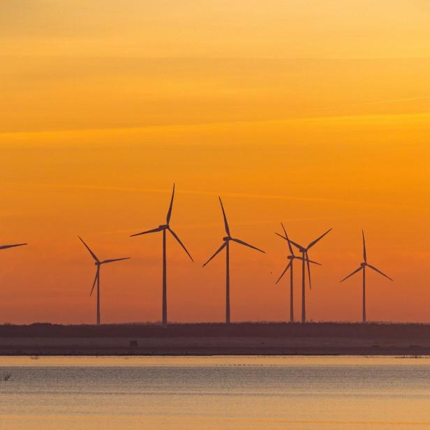 Windräder in der Abendsonne 