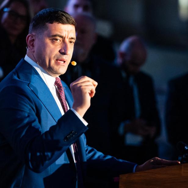 Simion nach Bekanntgabe der Prognosen 