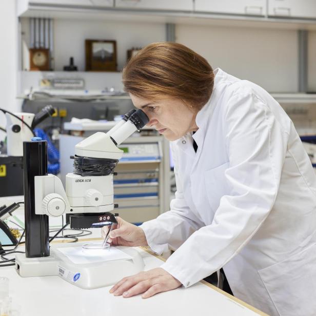Univ.-Prof. Claudia Felser