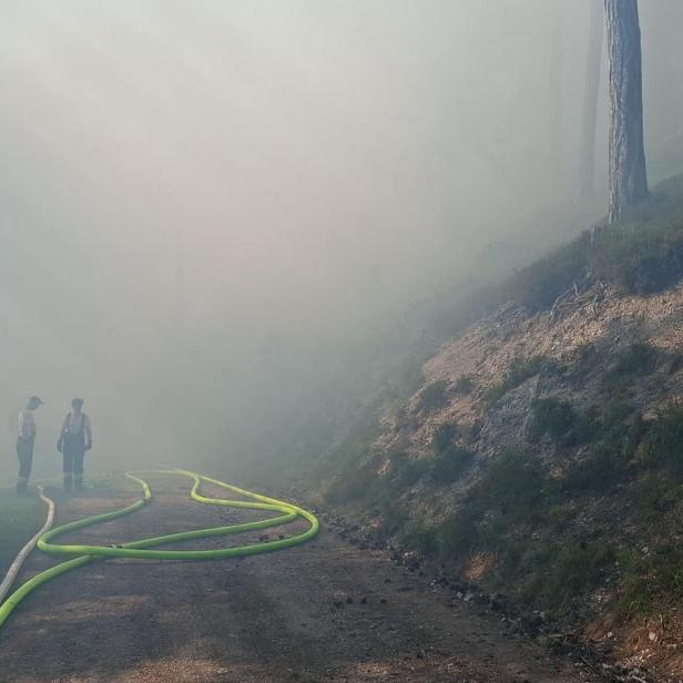 Feuerwehrleute beim Waldbrand