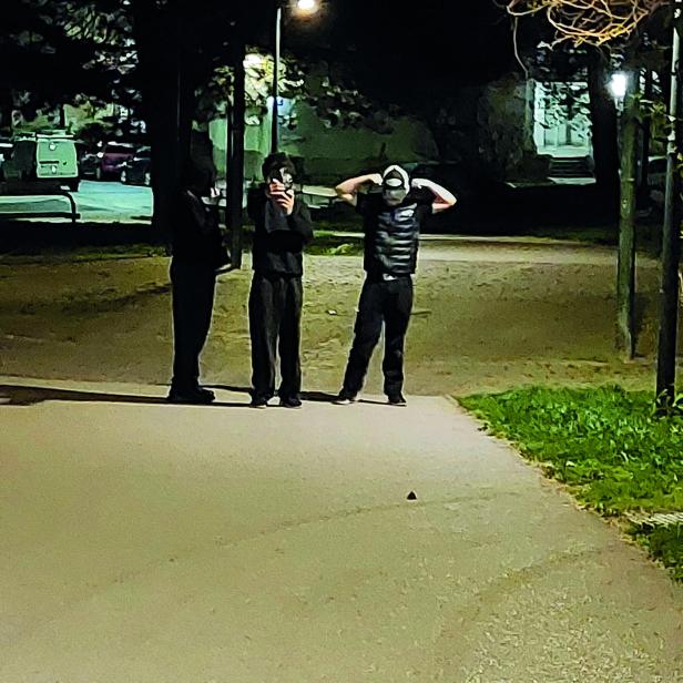 Drei junge Buben im Park