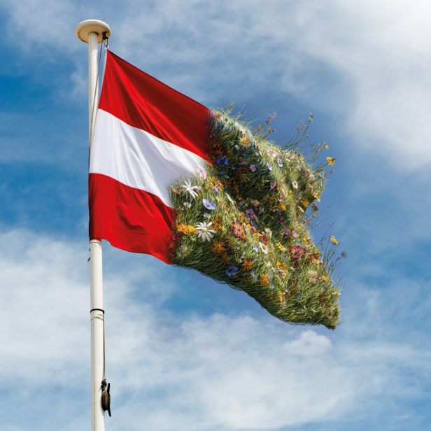 Österreichfahne weht vor blauem Himmel. Die hälfte der Fahne ist rot-weiß-rot die andere Hälfte symbolisiert die Natur. 