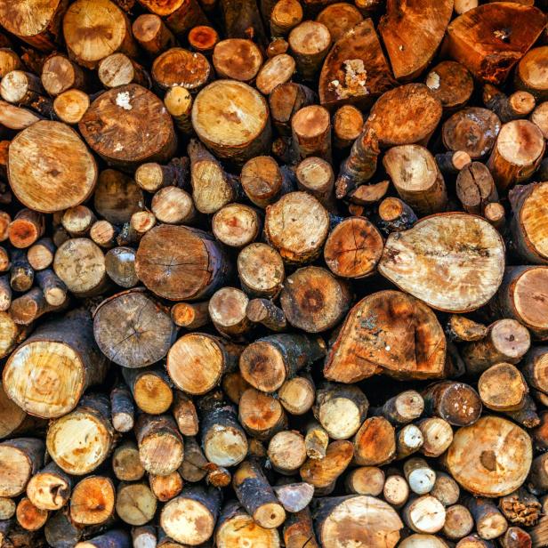 Geschlagenes Holz, geschlichtet