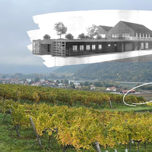 Der Ort Weißenkirchen von den Weinbergen aus fotografiert. Ein Weingarten im Tal ist eingekreist. Dort könnte ein Feuerwehrhaus gebaut werden.