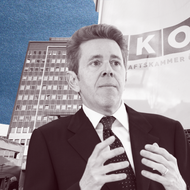 Harald Mahrer Kollage Wirtschaftskammer