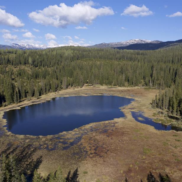 Ein Moor von oben