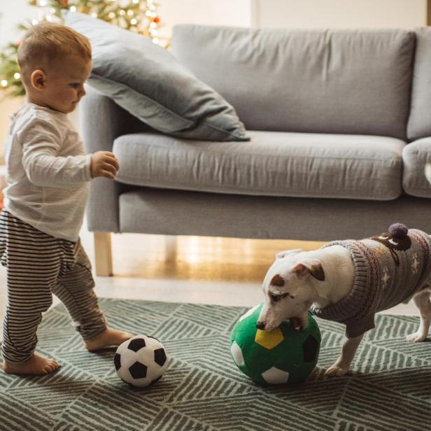 Kleines Kind steht auf einem Teppich vor einem Sofa und spielt mit einem kleinen Fußball, während ein Hund an einem größeren Fußball schnüffelt.