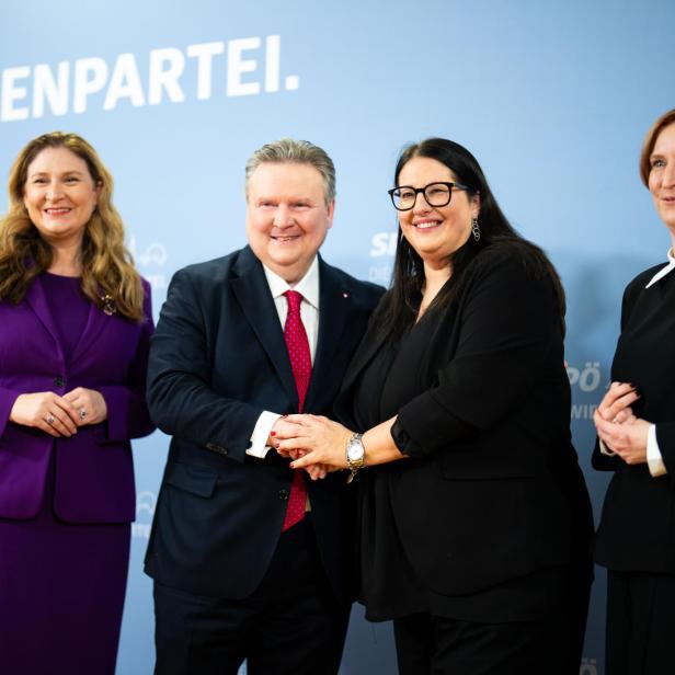 Rochade in der Wiener Stadtregierung