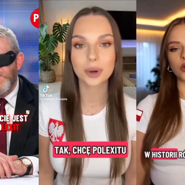TikTok-Screenshots von Grzegorz Braun (Konfederacja Korony Polskie) und zwei KI-generierten Frauen.