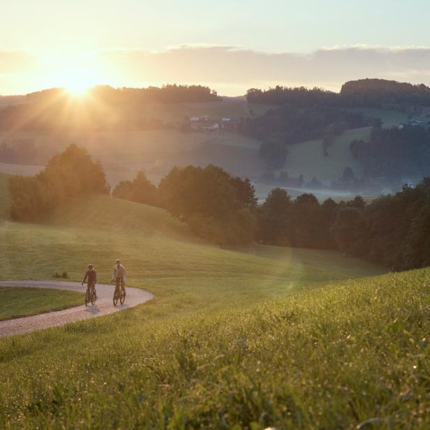 Zwei Radfahrer auf einem geschwungenen Weg durch eine grüne Hügellandschaft bei Sonnenaufgang oder Sonnenuntergang im Mühlviertel