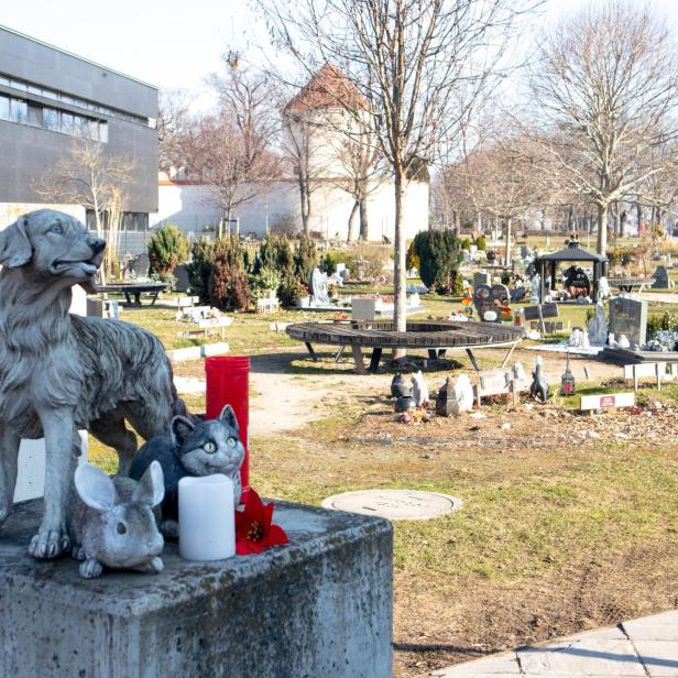Man sieht den Tierfriedhof in Simmering. Im Hintergrund sind Tiergräber zu sehen und im Vordergrund ist eine Hundestatue zu sehen.