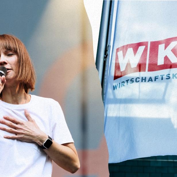 Christina Stürmer beschwert sich über die WKO-Umlage