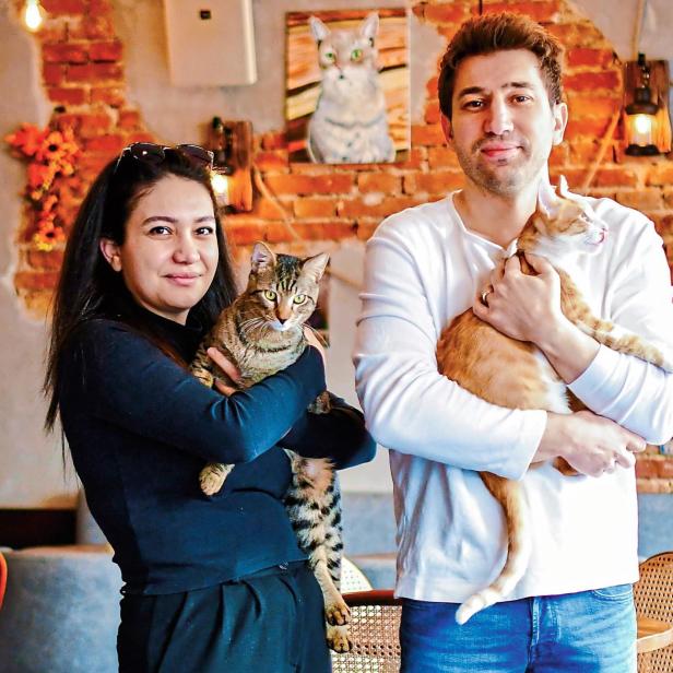 Zwei Personen stehen in einem Café mit Backsteinwand und halten jeweils eine Katze im Arm.
