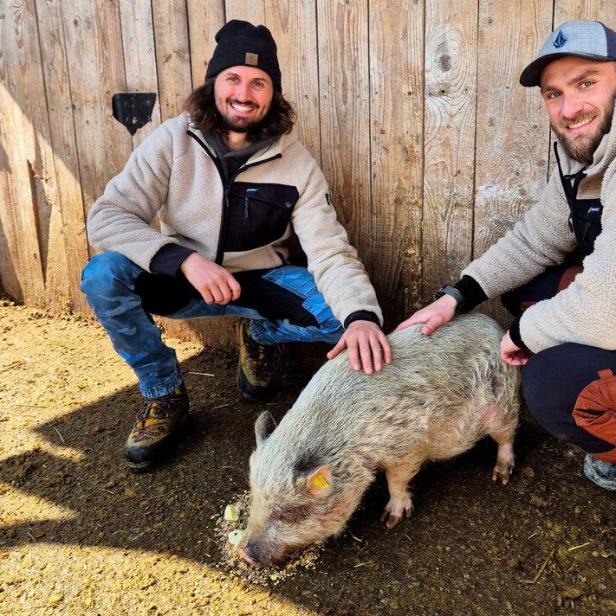 Zwei Männer und ein Minischweinchen 