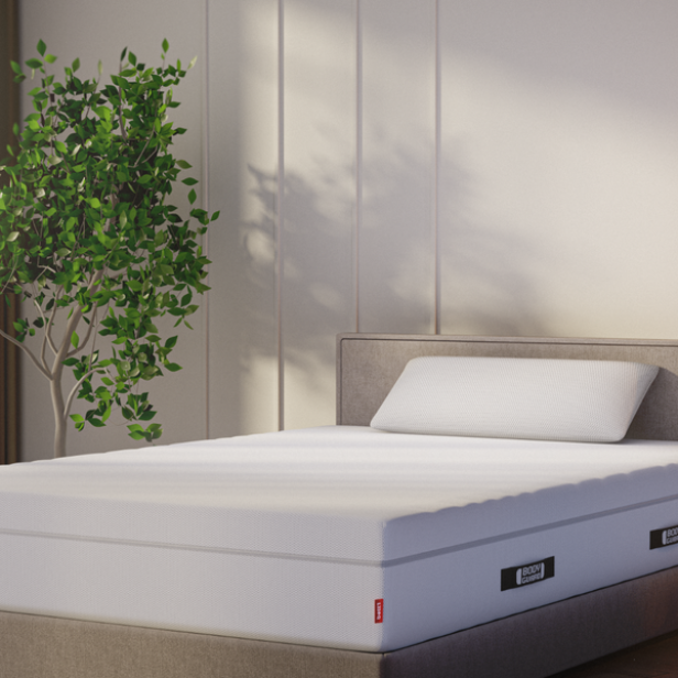 Schlafzimmer mit einem großen Bett mit weißer Matratze, einem Nachttisch mit Lampe und einem großen grünen Zimmerpflanze neben dem Fenster