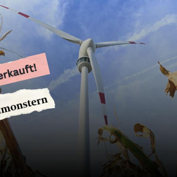 Ein Windrad, darüber Flyer-Ausschnitte von Windkraftgegnern mit Sprüchen wie: "Nein zu 7 Windmonstern"