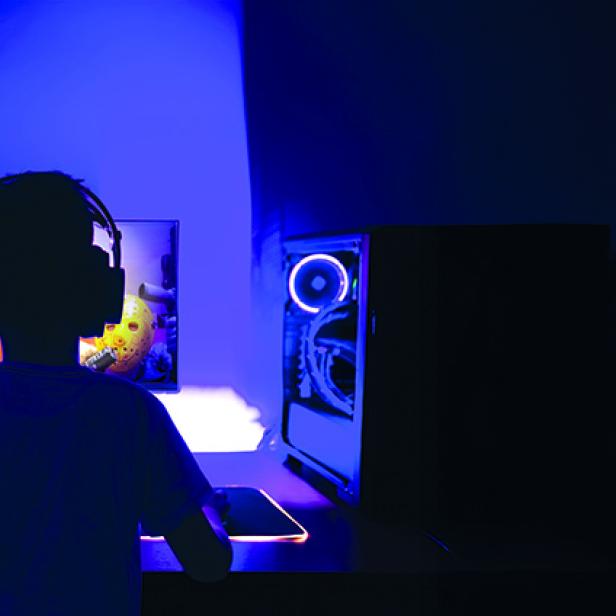 Kind sitzt vor dem Computer