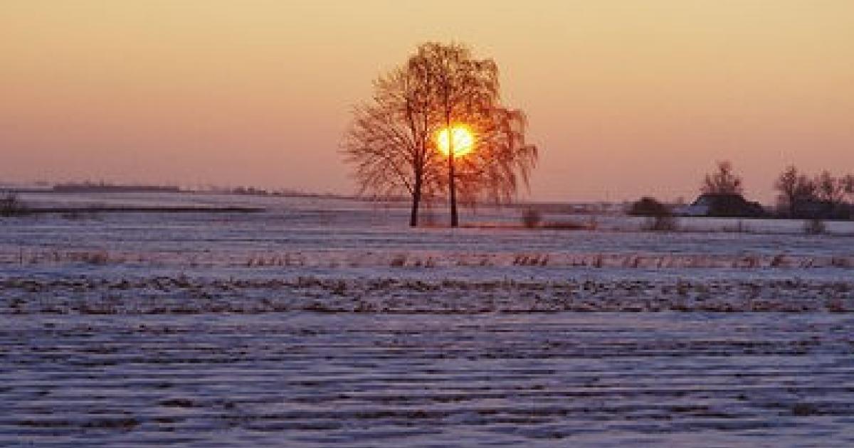 Wintersonnenwende: Die Tage werden wieder länger | profil.at