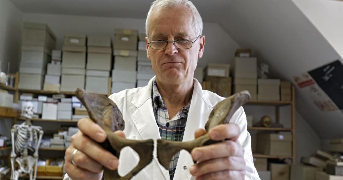 Joachim Wahl „Ausgeweidet, geköpft und gevierteilt