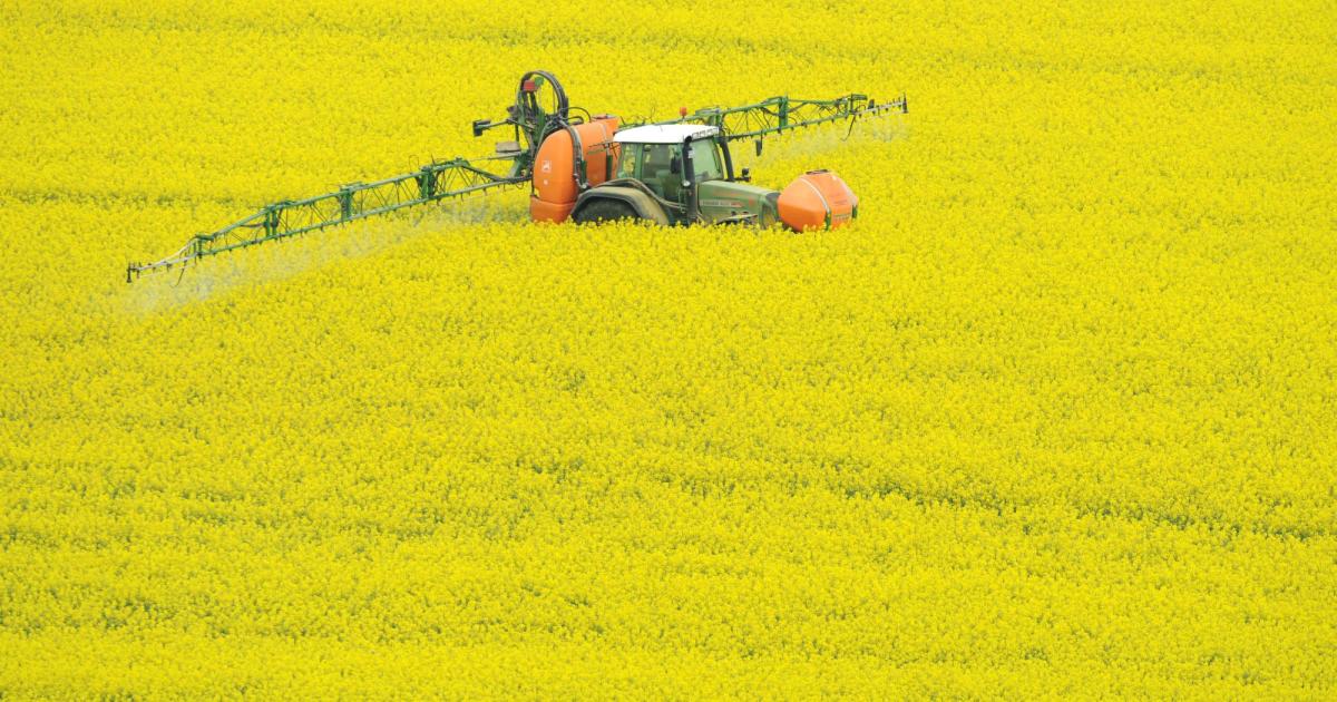 eu-naturschutz-in-gefahr-kann-die-landwirtschaft-auf-pestizide-verzichten