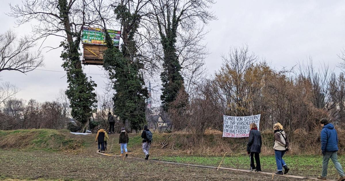 -Protest-Acker-Bauern-und-Aktivisten-wollen-Stra-enbau-stoppen