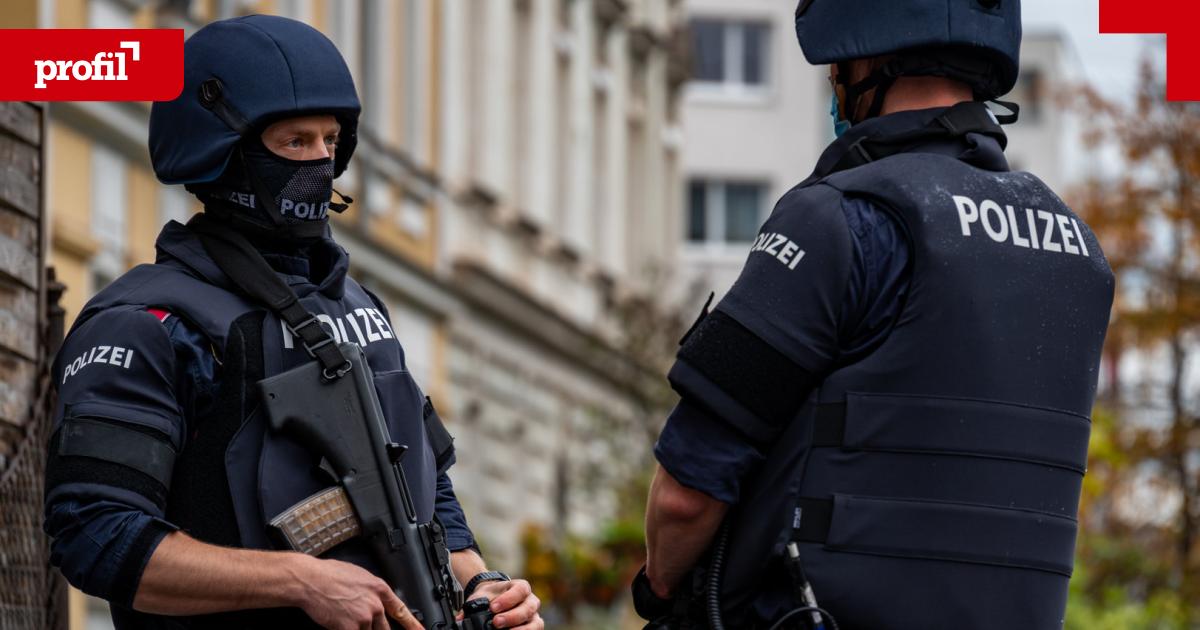 Einsatzkommando-Cobra-erschoss-entlaufenes-Rind-in-Vorarlberg