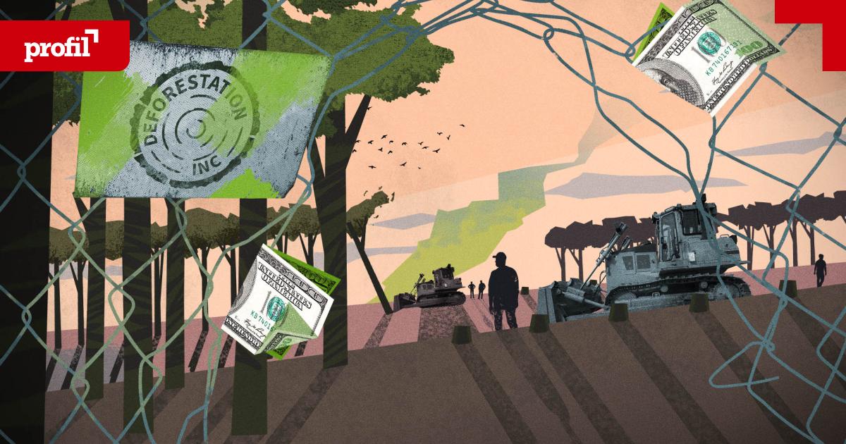 abholzung-schmuggel-greenwashing-das-schmutzige-gesch-ft-mit-dem-wald