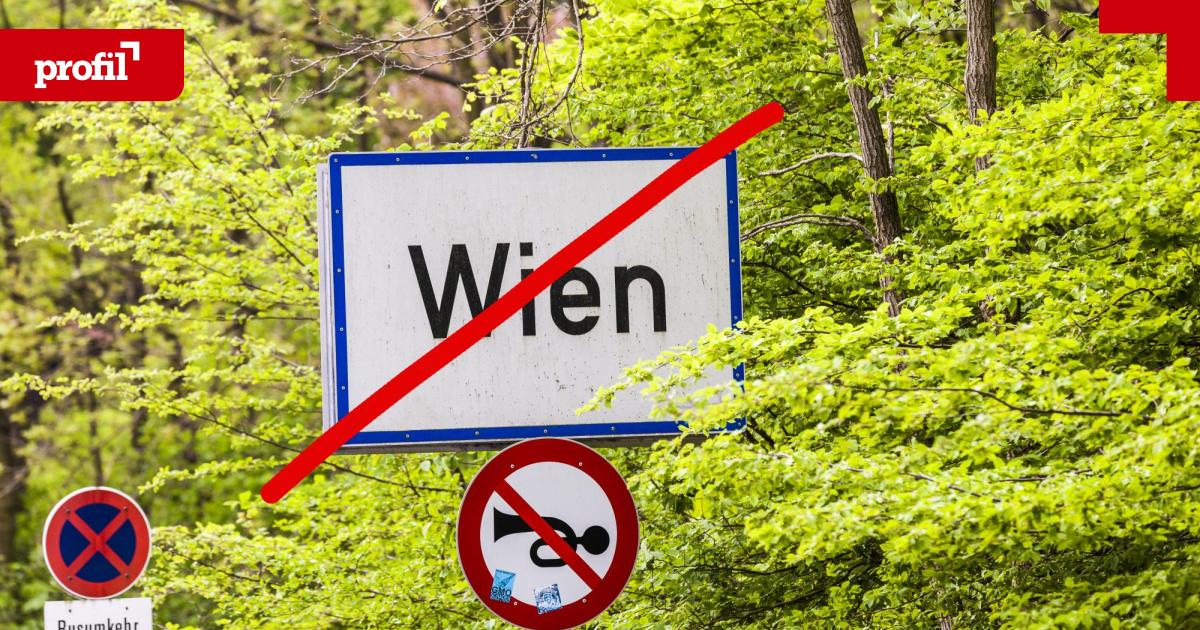 Blue urban exodus to Lower Austria: Is the Vienna FPÖ running out of ...
