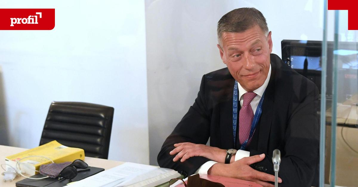 Fall-Pilnacek-Die-eigent-mlichen-Gutachter-des-Peter-Pilz