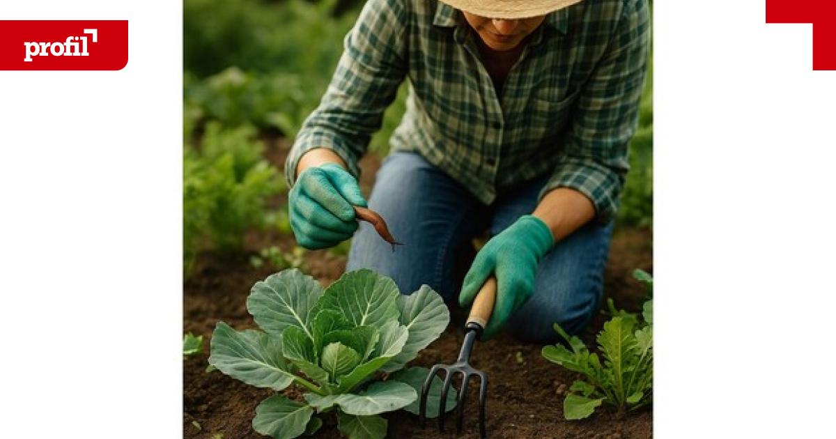 So-sch-tzen-Sie-Ihren-Garten-vor-Sch-dlingen-ohne-Chemie