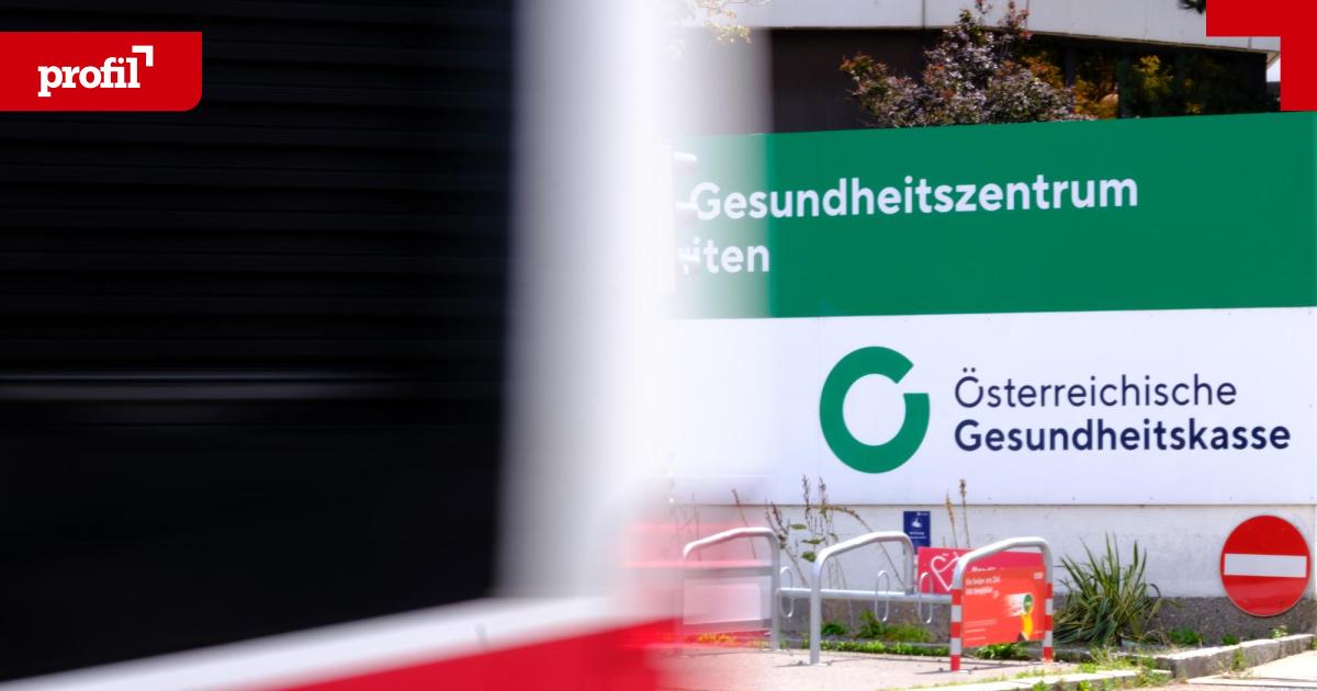 lebensgef-hrtin-von-gk-obmann-macht-bei-gk-karriere