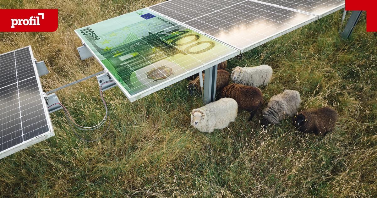 Gutes-Geld