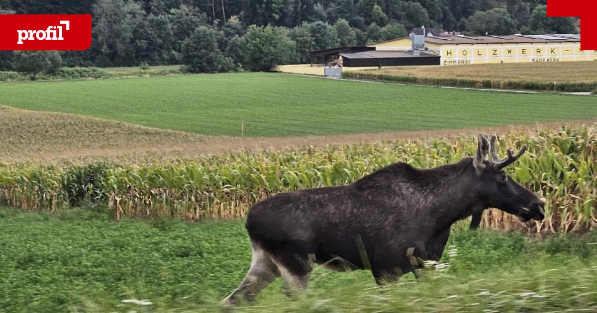 Ein-Jahr-Hochwasser-Wie-sich-ein-Betrieb-aus-dem-Schlamm-k-mpfte