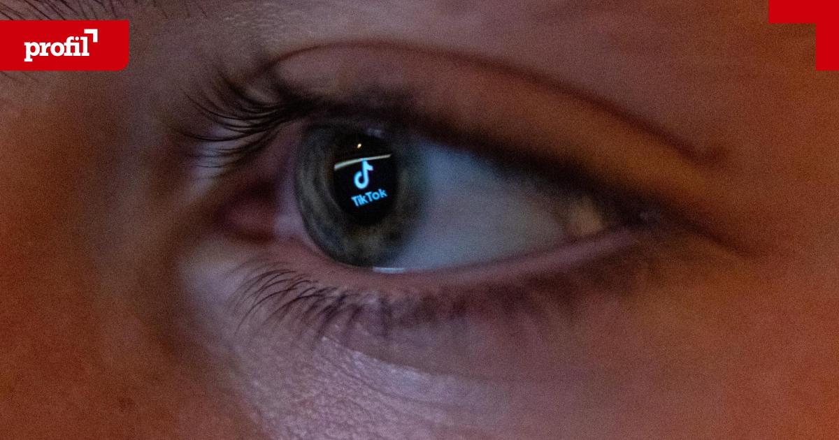 EU-Erste-L-nder-mit-Altersverifizierung-auf-Social-Media