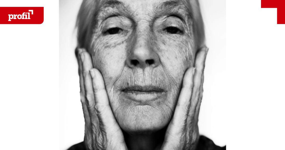 Jane-Goodall-Die-Affenmutter