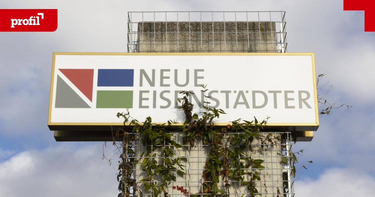 -Unklar-unschl-ssig-unrichtig-Gutachter-Streit-um-burgenl-ndische-Wohnbaugesellschaft