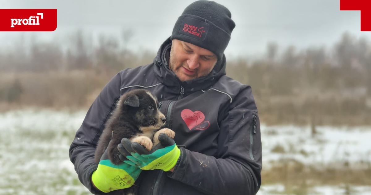 Tierschutz-mit-Herz-Die-Vision-von-Michael-und-Amra-Midzan