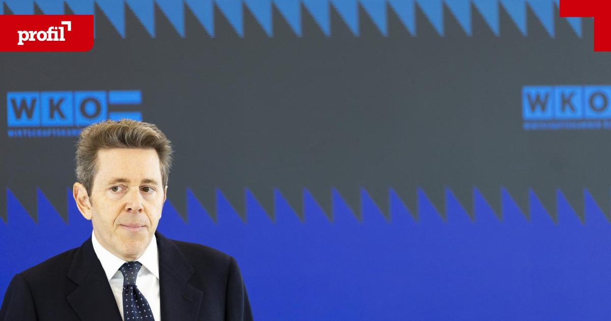 WKO-Milliarden-Einnahmen-trotz-Krisenstimmung