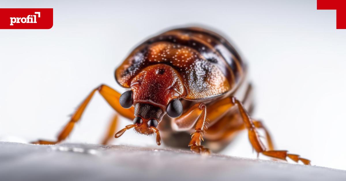 tod-in-istanbul-wie-das-giftgas-aluminiumphosphid-wirkt