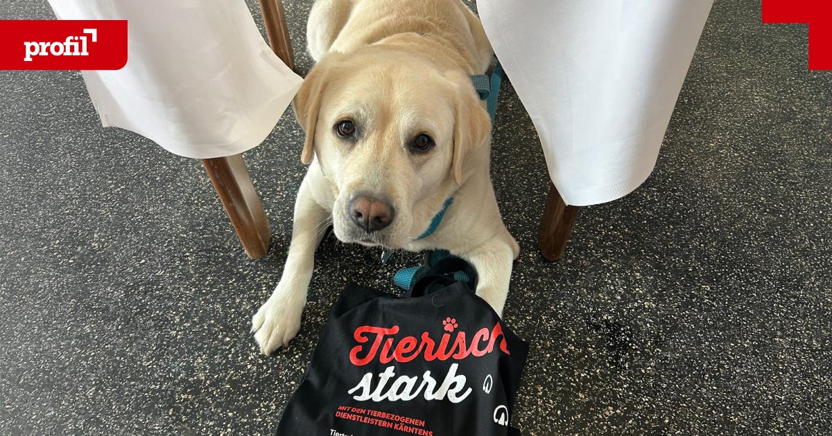 Scenarladys-Frequenztherapie-bringt-Mensch-und-Tier-mehr-Lebensfreude