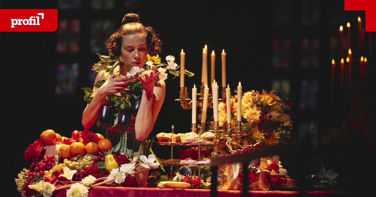 kakanischer-walzerwahn-ein-herrschaftlicher-tanzabend-in-wien