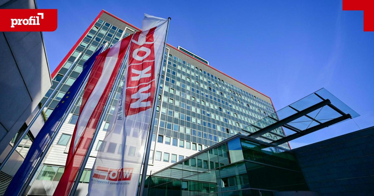 Warum-Energieversorger-von-der-WKO-Pflichtmitgliedschaft-ausgenommen-sind