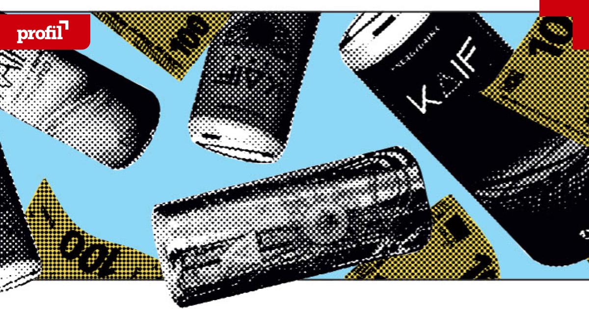 Betrugsfall-Paraiba-Krach-um-Krypto-Kronzeugen